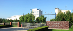背景圖alt